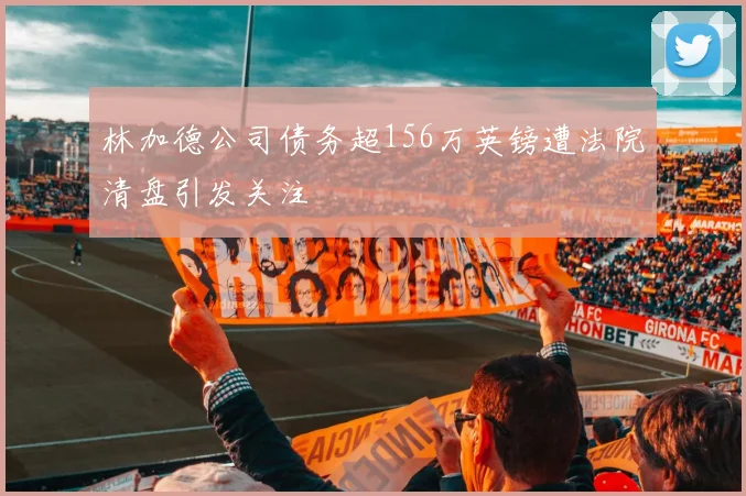 林加德公司债务超156万英镑遭法院清盘引发关注