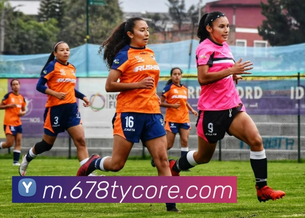 678体育品牌故事